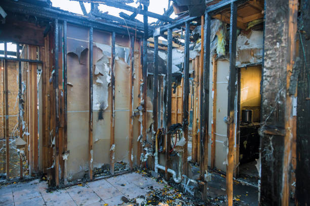 Professional Fire Damage Removal technician working in Holiday Island, AR